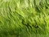 hair2