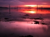 forthsunrise