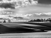 Low light in b & w